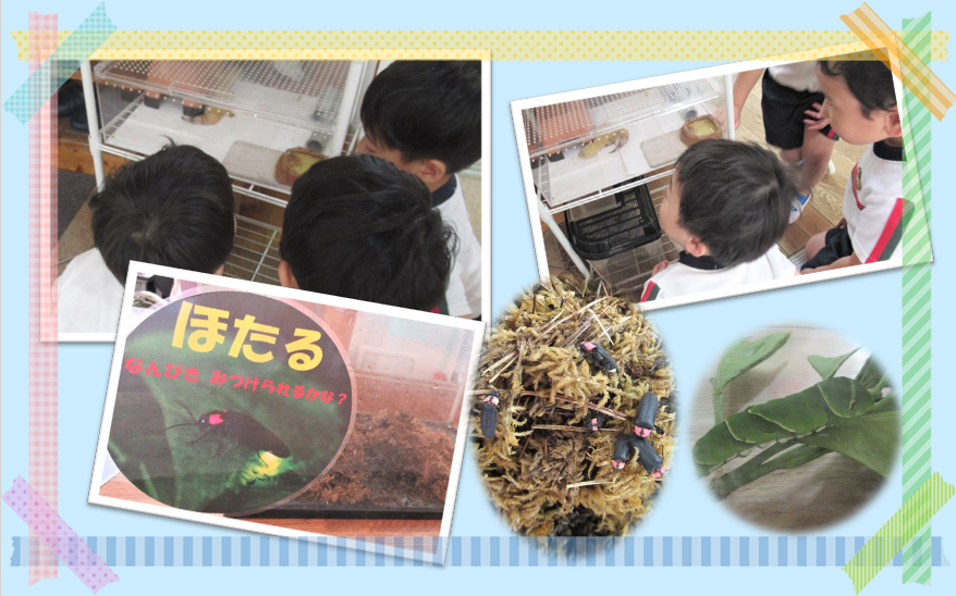 たまご ＆ 幼虫 が産まれたよ・・・